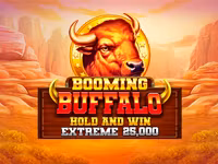 Booming Buffalo Hold and Win Extreme 25,000