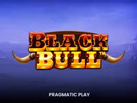 Black Bull