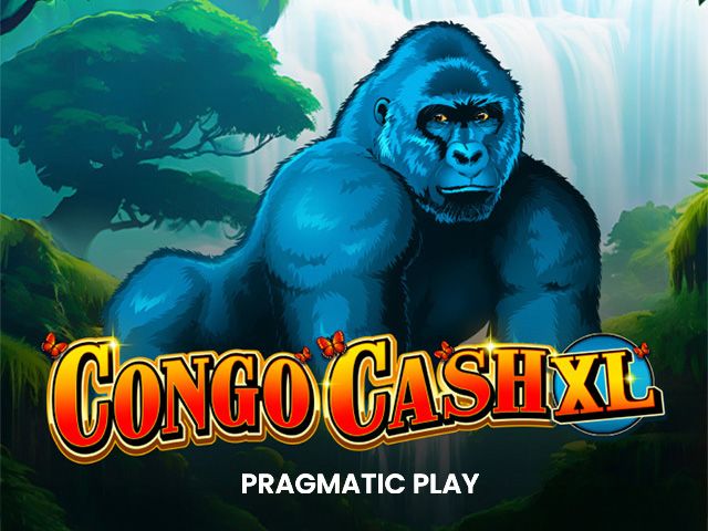 Congo Cash XL