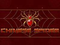 Chinese Spider