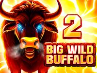 Big Wild Buffalo 2