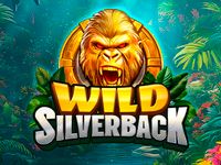 Wild Silverback