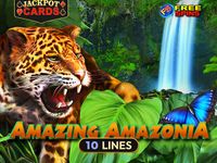Amazing Amazonia