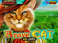 Brave Cat