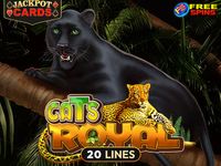 Cats Royal