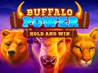 Buffalo Power: Hold and Win