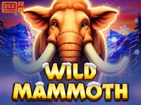 Wild Mammoth