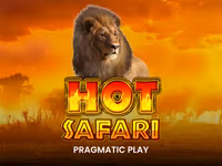 Hot Safari