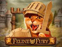 Feline Fury