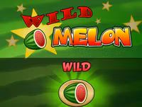 Wild Melon
