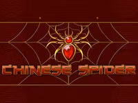Chinese Spider
