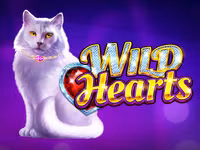 Wild Hearts