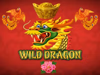 Wild Dragon