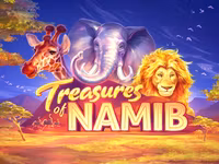 Treasures of Namib