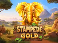 Stampede Gold