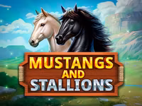 Mustangs and Stallions