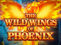 The Wild Wings of Phoenix