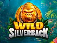 Wild Silverback
