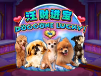Doggone Lucky