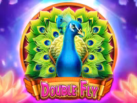 Double Fly