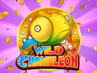 Wild Chameleon