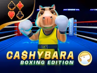 Cashybara Boxing Edition