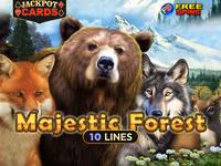 Majestic Forest