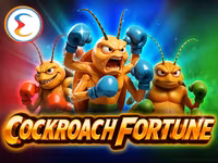 Cockroach Fortune