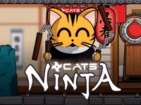 Ninja Cats