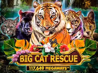 Big Cat Rescue Megaways