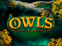 Owls