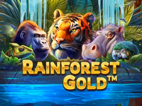 Rainforest Gold
