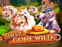 Sheep Gone Wild