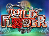 Wild Flower
