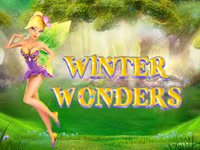 Winter Wonders