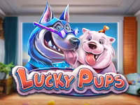 Lucky Pups