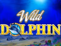 Wild Dolphin