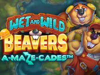 Wet and Wild Beavers