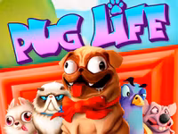 Pug Life