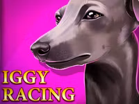 Iggy Racing