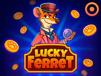 Lucky Ferret