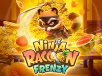 Ninja Raccoon Frenzy
