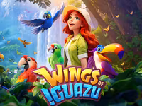 Wings of Iguazu