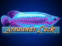 Arowanas Luck