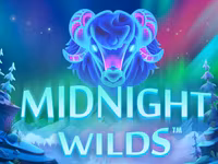 Midnight Wild
