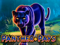 Panther Pays