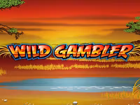 Wild Gambler