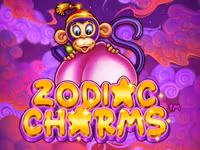 Zodiac Charms