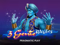 3 Genie Wishes