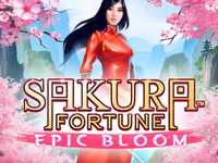 Sakura Fortune Epic Bloom